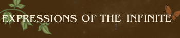 Expressions Of The Infinite